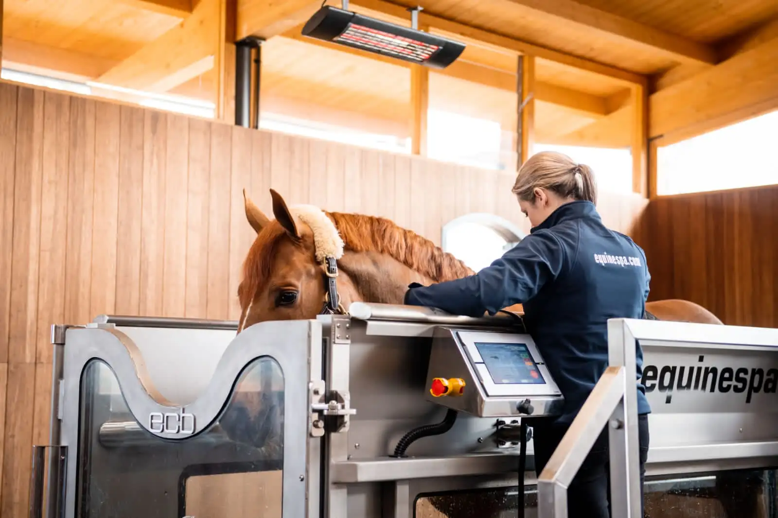 Equine Spas Aqua Treadmills ECB Equine Spa