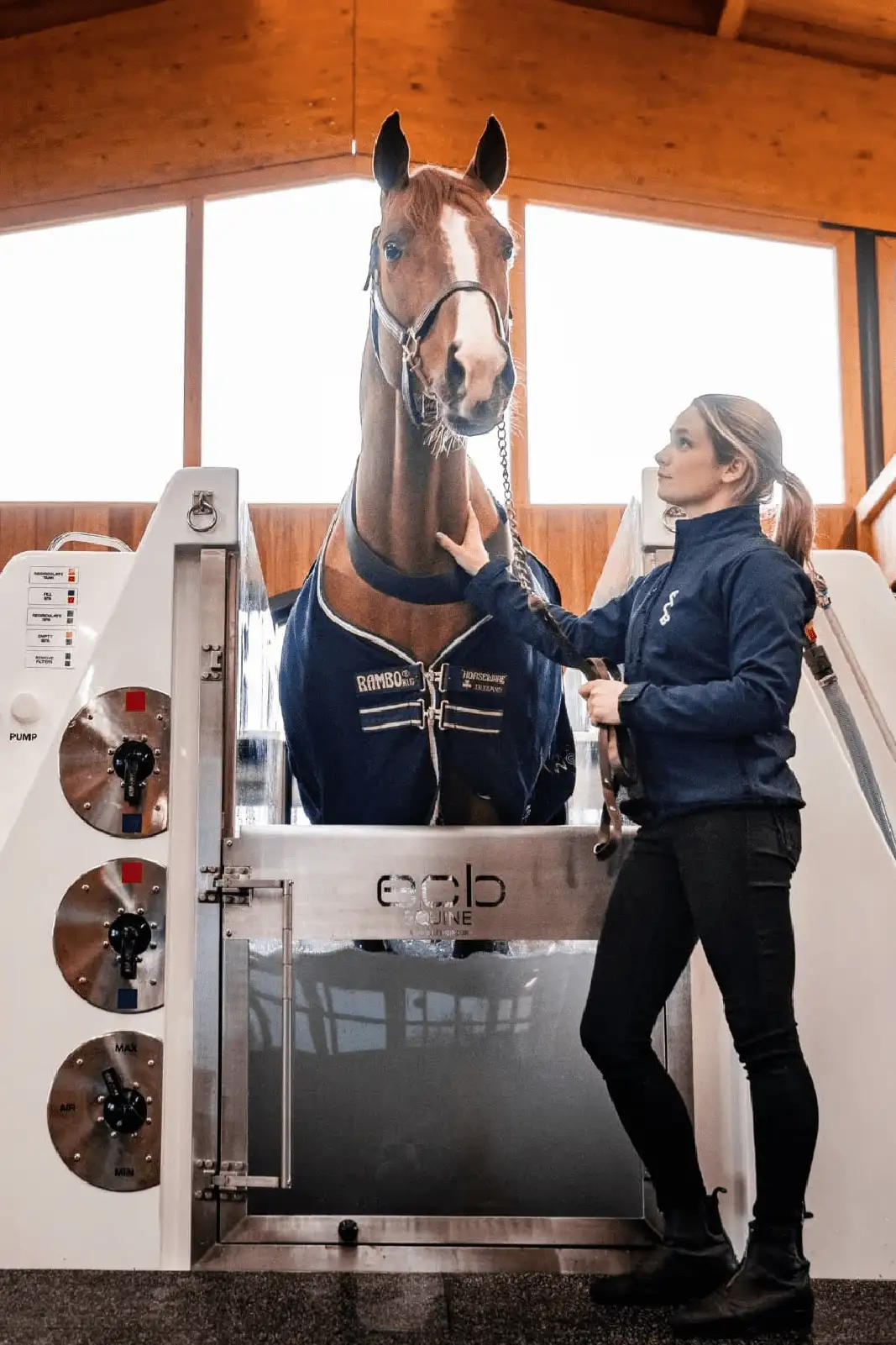 Underwater treadmill for online horses