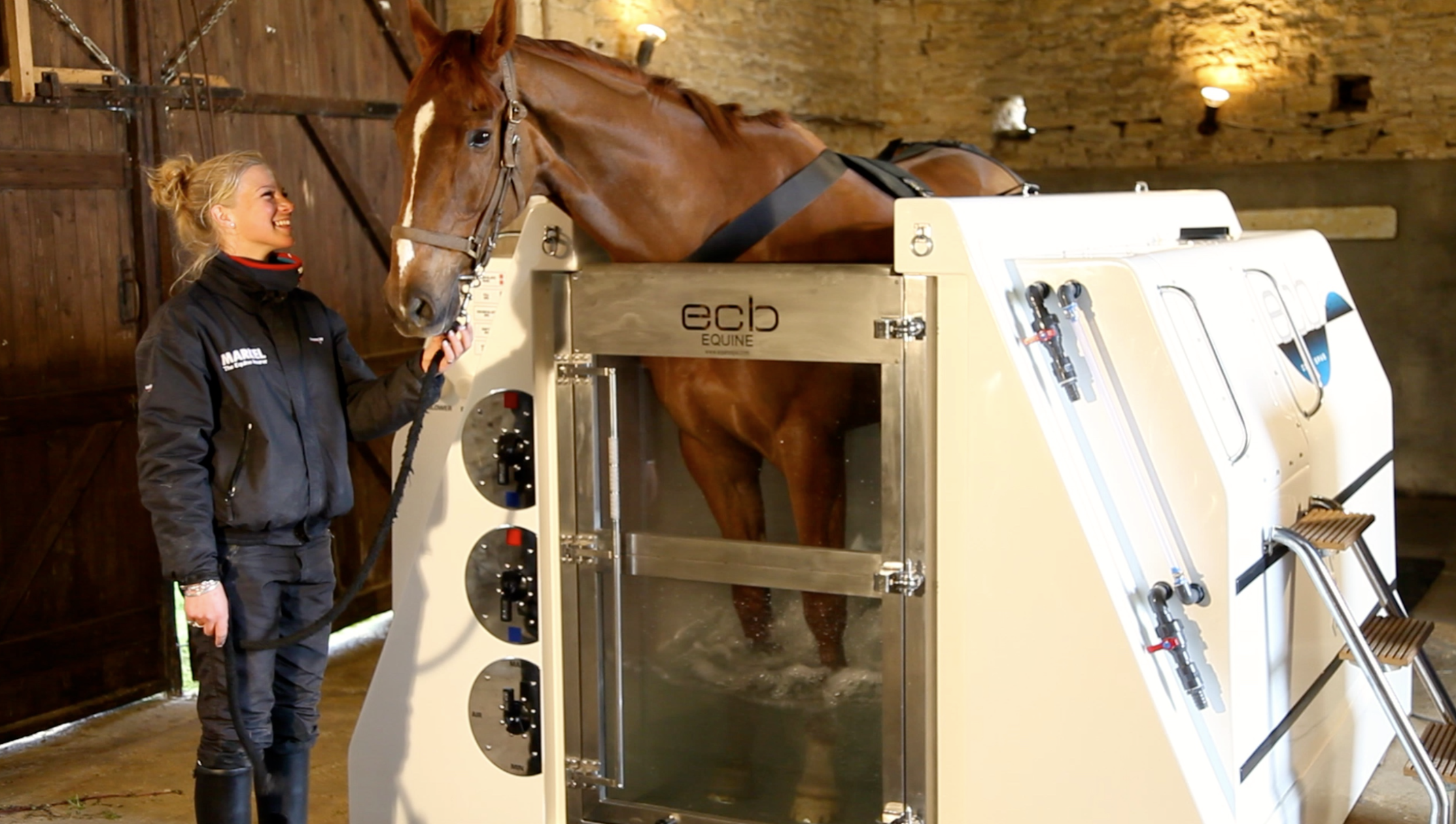 Horse hydrotherapy in an equine spa